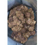 Семена каннабиса TROPICANA Cookies Auto