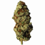 Семена конопли Auto Afghan Bullet от Divine Seeds - Smartshop-smartshop.ua®