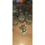 Насіння конопель Pablo Escobar від Divine Seeds - Smartshop-smartshop.ua®