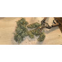 Насіння конопель Pablo Escobar від Divine Seeds - Smartshop-smartshop.ua®