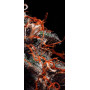 Семена конопли Euphoria от Divine Seeds - Smartshop-smartshop.ua®