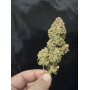 Семена конопли Auto Northern Lights от Divine Seeds - Smartshop-smartshop.ua®