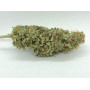 Семена конопли Auto MaxiGom Feminised Gold от Error Seeds - Smartshop-smartshop.ua®
