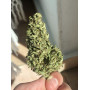 Cannabis seed variety Auto Super Silver Haze Feminised Silver