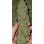 Насіння конопель Northern Lights від Divine Seeds - Smartshop-smartshop.ua®