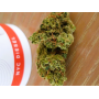 Семена конопли Auto New York Diesel Feminised Gold от Error Seeds - Smartshop-smartshop.ua®