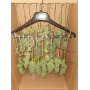 Семена конопли Auto Lemon Zkittlez от Marley Seedbank - Smartshop-smartshop.ua®