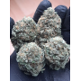 Семена каннабиса LEMON CHERRY RUNTZ ™