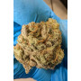 Сорт семян каннабиса Original AUTO CHEMDAWG