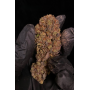 Семена каннабиса GG4 ™ (Gorilla Glue)