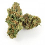 Семена конопли Auto MaxiGom Feminised Gold от Error Seeds - Smartshop-smartshop.ua®