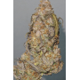 Сорт семян каннабиса Original AUTO AFGHAN KUSH