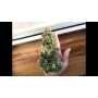 Семена конопли Auto Gagarin Feminized от Marley Seedbank - Smartshop-smartshop.ua®