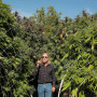 Семена конопли Jamaica Sativa от Marley Seedbank - Smartshop-smartshop.ua®