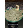Сорт семян каннабиса Original AUTO OG KUSH
