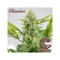 SKUNK® classics