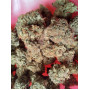 Семена конопли Afghan Original от Divine Seeds - Smartshop-smartshop.ua®