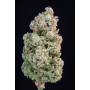 Сорт семян каннабиса Original AUTO AFGHAN KUSH