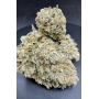 Сорт семян каннабиса Original AUTO OG KUSH