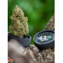 Сорт семян каннабиса Original AUTO AFGHAN KUSH
