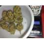 Семена конопли Auto Kabul от Divine Seeds - Smartshop-smartshop.ua®