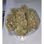 Семена конопли Auto Pablo Escobar от Divine Seeds - Smartshop-smartshop.ua®