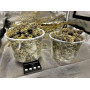 Семена конопли Auto Tangie от Marley Seedbank - Smartshop-smartshop.ua®