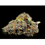 Семена конопли Auto Purple Opium от Divine Seeds - Smartshop-smartshop.ua®