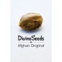 Семена конопли Afghan Original от Divine Seeds - Smartshop-smartshop.ua®