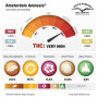 Насіння конопель AMSTERDAM AMNESIA® від Dutch Passion у Smartshop-smartshop.ua®