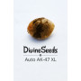 Семена конопли Auto AK-47 XL от Divine Seeds - Smartshop-smartshop.ua®