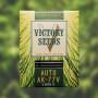 Cannabis seeds Auto AK-77V from Victory Seeds at Smartshop-smartshop.ua®