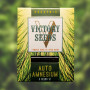 Семена конопли Auto AMNESIUM от Victory Seeds в Smartshop-smartshop.ua®