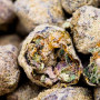 Семена конопли Auto Moon Rock от Divine Seeds - Smartshop-smartshop.ua®