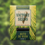 Cannabis seeds Auto OG KUSH from Victory Seeds at Smartshop-smartshop.ua®