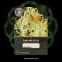 Семена конопли Auto AK-47 XL от Divine Seeds - Smartshop-smartshop.ua®