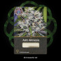 Семена конопли Auto Amnesia от Divine Seeds - Smartshop-smartshop.ua®