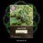 Семена конопли Auto Candy от Divine Seeds - Smartshop-smartshop.ua®