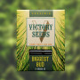 Семена конопли BIGGEST BUD от Victory Seeds в Smartshop-smartshop.ua®