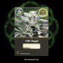 Насіння конопель CBD Angel від Divine Seeds - Smartshop-smartshop.ua®