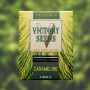 Cannabis seeds CARAMELINO from Victory Seeds at Smartshop-smartshop.ua®