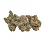 Семена конопли Durban Poison Feminised Gold от Error Seeds - Smartshop-smartshop.ua®