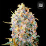 Cannabis seeds BIGGER BUD from Bulk Seed Bank at Smartshop-smartshop.ua®
