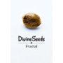 Семена конопли Fractal от Divine Seeds - Smartshop-smartshop.ua®