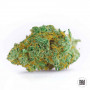 Cannabis seeds MASTER KUSH GRAND from Bulk Seed Bank at Smartshop-smartshop.ua®