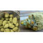 Семена конопли Auto Moon Rock от Divine Seeds - Smartshop-smartshop.ua®
