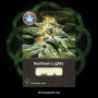 Насіння конопель Northern Lights від Divine Seeds - Smartshop-smartshop.ua®
