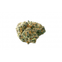 Насіння конопель GMO x Animal Cookies Feminised Silver від Error Seeds - Smartshop-smartshop.ua®