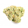 Насіння конопель Lemon Tree Feminised Silver від Error Seeds - Smartshop-smartshop.ua®
