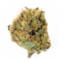 Насіння конопель Meringue Feminised Silver від Error Seeds - Smartshop-smartshop.ua®